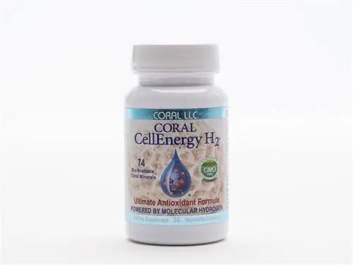 Diving Into Coral Products & Минералы