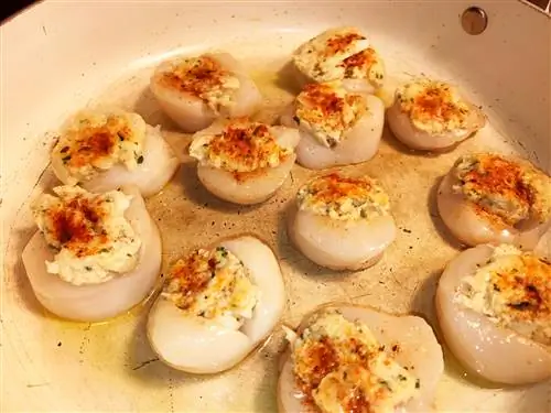 морские гребешки