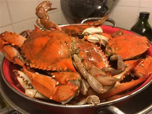 Мэрилендские крабы