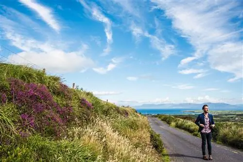 удивительные дорожные путешествия