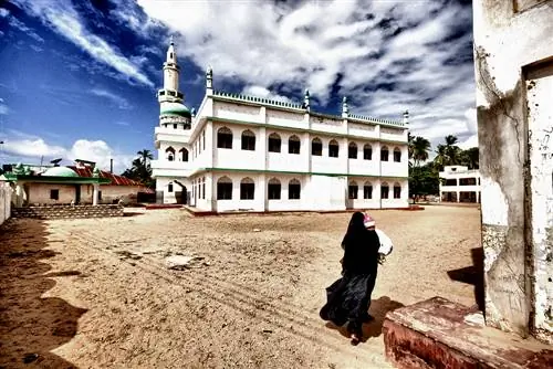 Ламу Кения, волшебное место в Восточной Африке