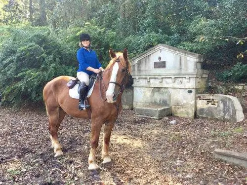 нэнси д браун, лошадь, кокер спринг, айкен, южная каролина, хиккок вудс