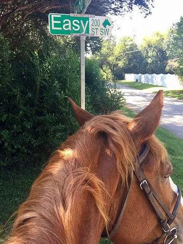 легкая улица, айкен, южная каролина, верховая езда, тропа хичкок вудс