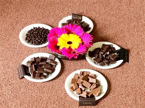 обучение рейки