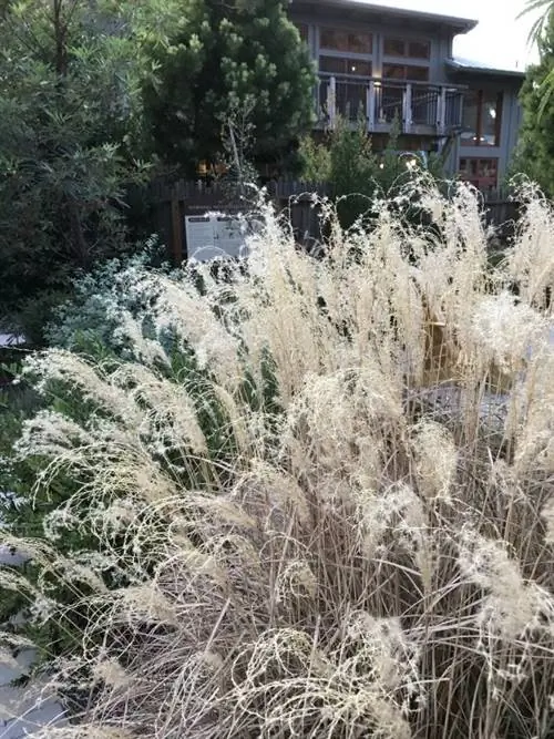 Убежище Кармель