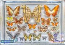 Музей творчества