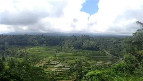 Как познакомиться с Бали по-своему