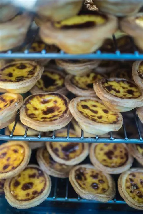 Путеводитель по Макао