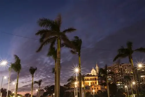 Путеводитель по Макао