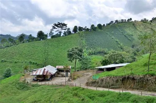 поездки на выходные