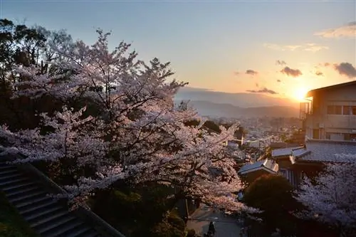 Волшебные кругосветные путешествия на выходных