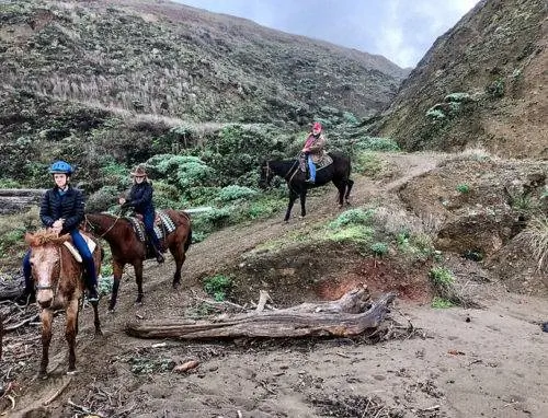 Верховая езда с Росс Ранч.