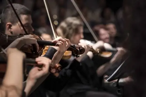 Световые центры Illuminas Cheryl Banfield Orchestra