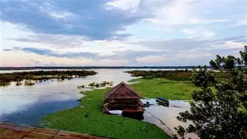 Край Икитоса