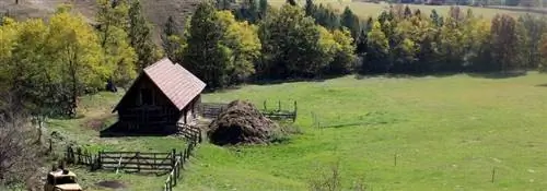 Сравнение Сербии прошлого & сегодня