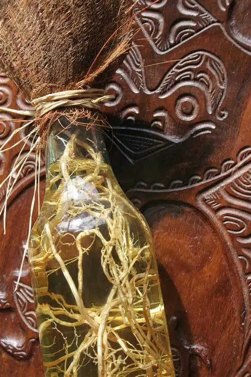 Кредит: Элен Спа