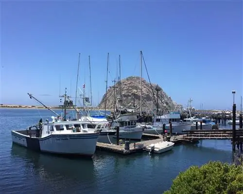 Морро-Бэй Морро-Рок, видная древняя вулканическая пробка в Морро-Бей, Калифорния.