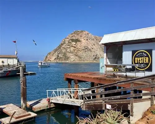 Компания Morro Bay Oyster Company выращивает устриц на местном уровне и поставляет их в лучшие рестораны.