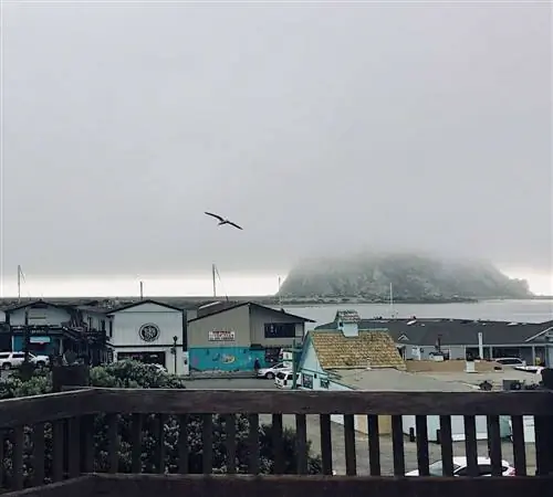 Морро Бэй Морро Рок туманным летним днем