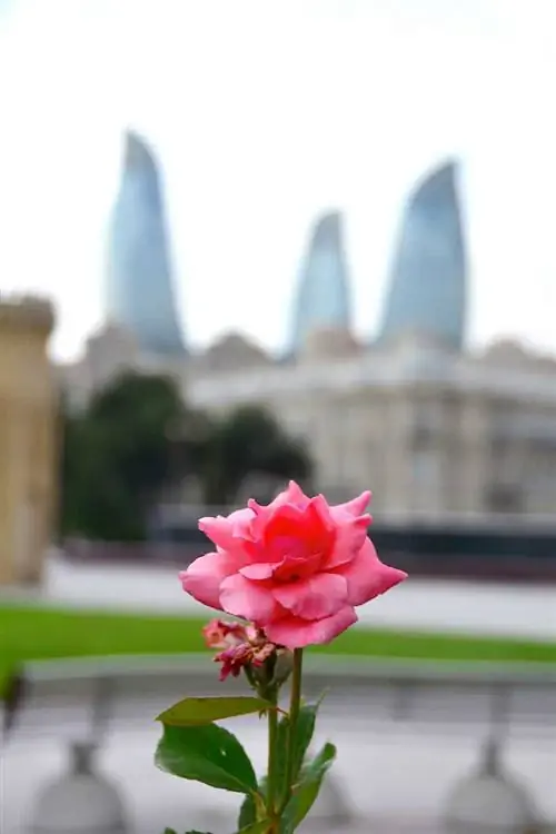 Баку
