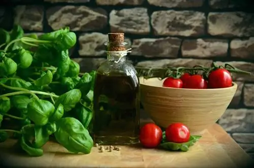 Рестораны Финикса Рестораны Финикса