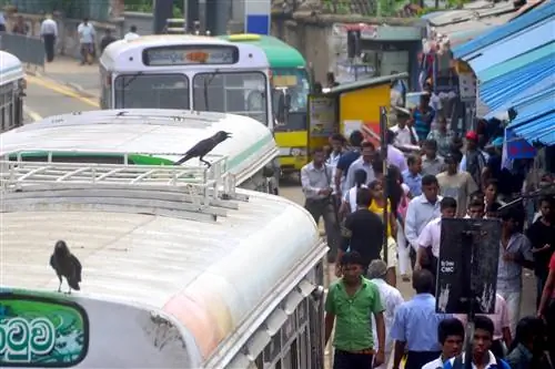 Коломбо Шри-Ланка