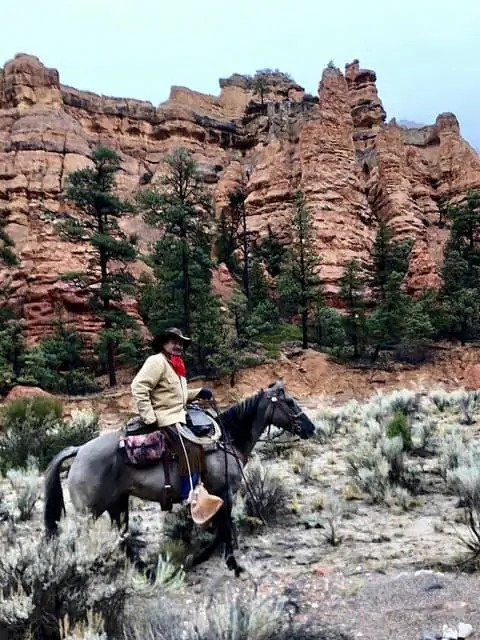 Спорщик Кевин Маги верхом на лошади в окружении худу в Красном каньоне.
