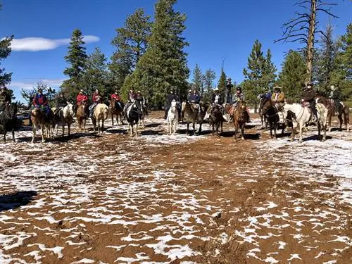 приключения на лошадях руби, великое приключение руби, катание на лошадях громовая гора южная юта, верховая езда в брайс каньоне