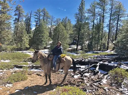 Тери Нэш, верховая езда в Брайс-Каньоне, приключения на лошадях Руби, великие приключения Руби, верховая езда в Южной Юте