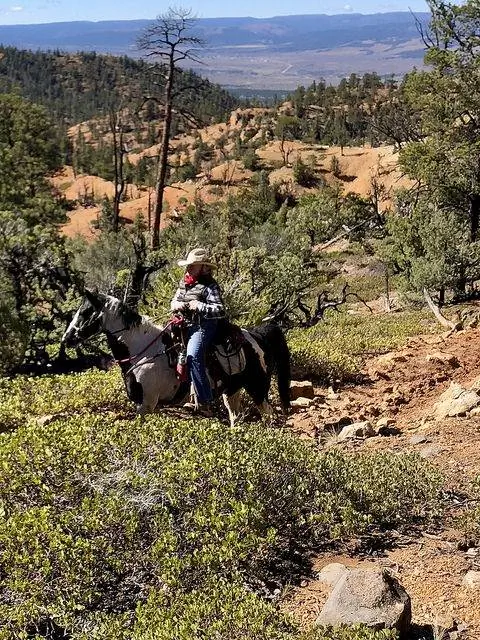 Нэнси Райт, приключения на лошадях Руби, прогулки на лошадях в Брайс-Каньоне, великое приключение Руби, южная юта