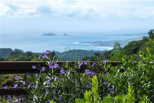 Ваш полный путеводитель по пляжам Тайваня