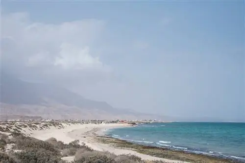 Пляжи Маската