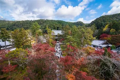 Осака Япония осенью