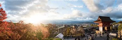 Осака Япония осенью и Киото