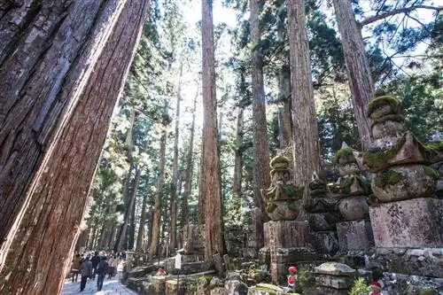 Осака Япония осенью