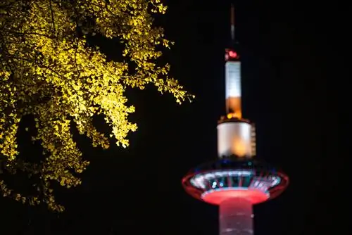 Осака Япония осенью