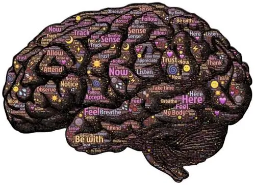 Квантовое сознание Питера Смита