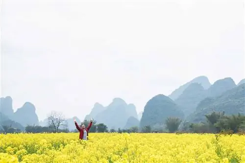 Непрекращающаяся красота от Гуйлиня до Яншо