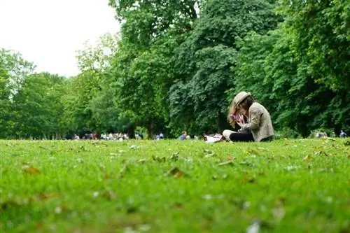 Парки для отдыха & Депрессия в Нью-Йорке