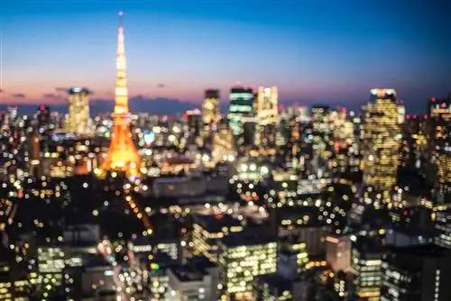 Сеул или Токио вам подходят?