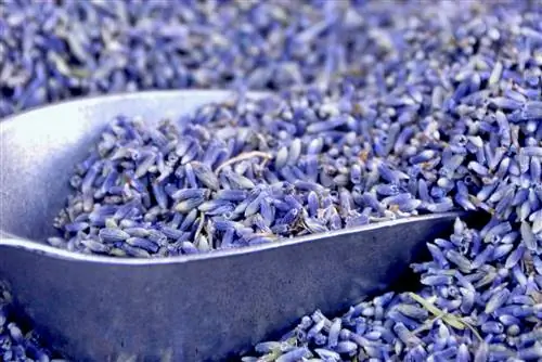 Ваше руководство по планированию поездки во Францию