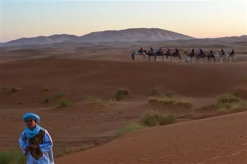 Учитывая Марокко: советы по планированию