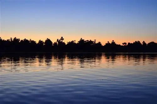 Сплав по Нилу на фалукке