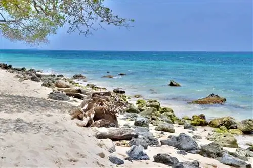 Краткое руководство по Картахене, Колумбия