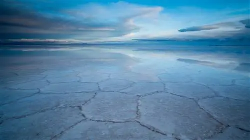 Пункт назначения: Уюни, Боливия