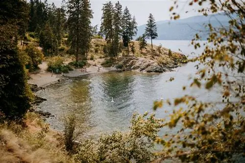 Пункт назначения: Келоуна, Британская Колумбия