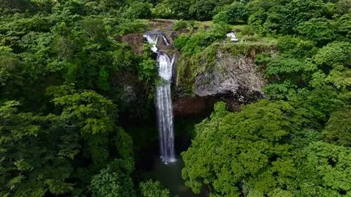 Страх - это аксессуар, который можно снять: интервью с Vibes of Panama