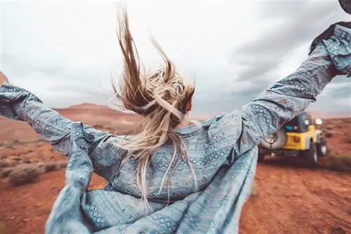 В поисках пути домой