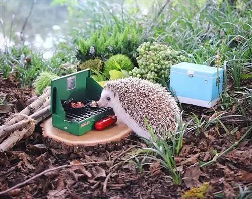 Объявлен победитель национальной премии Overland Influencer Award