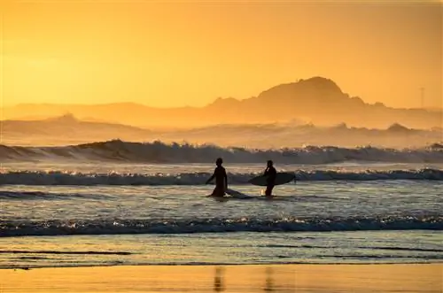 Целеустремленный переход